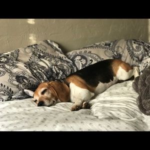 Meet your Posher, Mckenna